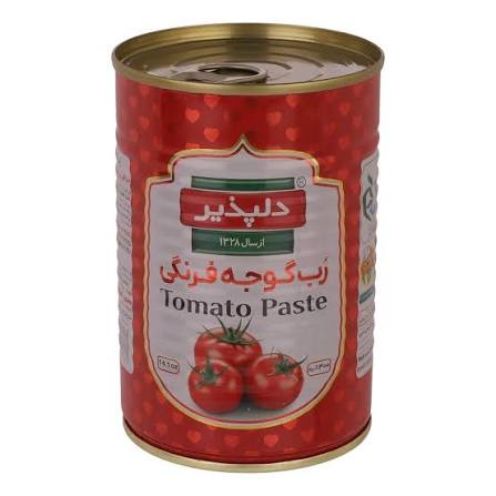 رب گوجه 400 گرم دلپذیر